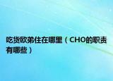 吃貨歐弟住在哪里（CHO的職責(zé)有哪些）
