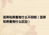 苦蕎和蕎麥有什么不同呢（苦蕎和蕎麥有什么區(qū)別）