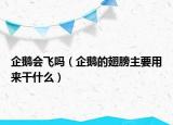 企鵝會飛嗎（企鵝的翅膀主要用來干什么）