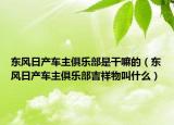 東風(fēng)日產(chǎn)車主俱樂部是干嘛的（東風(fēng)日產(chǎn)車主俱樂部吉祥物叫什么）