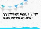 QQ飛車寵物怎么強(qiáng)化（qq飛車愛神丘比特寵物怎么強(qiáng)化）