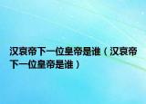 漢哀帝下一位皇帝是誰(shuí)（漢哀帝下一位皇帝是誰(shuí)）