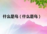 什么是鳥（什么是鳥）