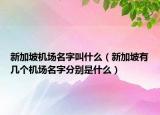 新加坡機(jī)場(chǎng)名字叫什么（新加坡有幾個(gè)機(jī)場(chǎng)名字分別是什么）