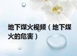 地下煤火視頻（地下煤火的危害）