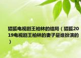 獵狐電視劇王柏林的結(jié)局（獵狐2019電視劇王柏林的妻子是誰(shuí)扮演的）