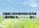 怎莫用CE修改造夢(mèng)西游3的靈魂（要詳細(xì)的 急~~~~~~ 留Q）