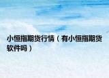 小恒指期貨行情（有小恒指期貨軟件嗎）