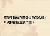 留學生群體在國外過的怎么樣（聽說抑郁癥現象嚴重）