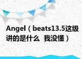 Angel（beats13.5這級(jí)講的是什么  我沒懂）