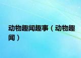 動(dòng)物趣聞趣事（動(dòng)物趣聞）