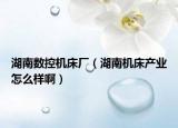 湖南數(shù)控機床廠（湖南機床產(chǎn)業(yè)怎么樣?。? /></span></a>
                        <h2><a href=