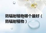 防輻射植物哪個(gè)最好（防輻射植物）