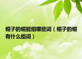 帽子的帽能組哪些詞（帽子的帽有什么組詞）