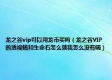 龍之谷vip可以用龍幣買(mǎi)嗎（龍之谷VIP的透視鏡和生命石怎么領(lǐng)我怎么沒(méi)有喃）