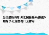 當日最新消息 外匯儲備是不是越多越好 外匯儲備有什么作用