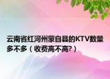 云南省紅河州蒙自縣的KTV數(shù)量多不多（收費(fèi)高不高?）