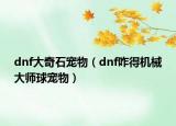 dnf大奇石寵物（dnf咋得機械大師球寵物）