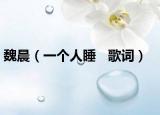 魏晨（一個(gè)人睡   歌詞）