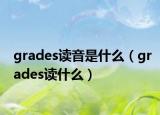 grades讀音是什么（grades讀什么）