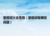 蒙組詞大全常用（蒙組詞有哪些詞語）