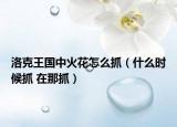 洛克王國(guó)中火花怎么抓（什么時(shí)候抓 在那抓）