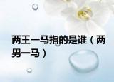 兩王一馬指的是誰(shuí)（兩男一馬）