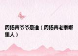 周揚(yáng)青爺爺是誰（周揚(yáng)青老家哪里人）