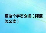 獾這個(gè)字怎么讀（阿獾怎么讀）