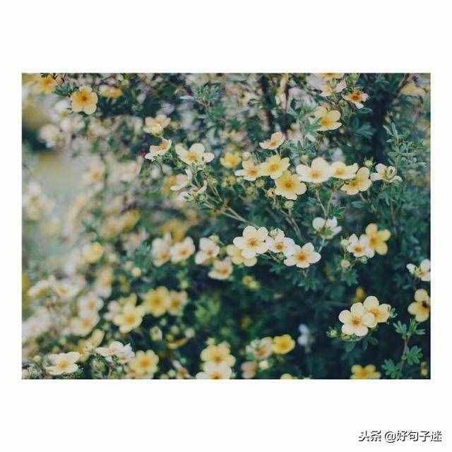 簡單的元旦祝福語，句句溫馨，挑幾句發(fā)給朋友吧！