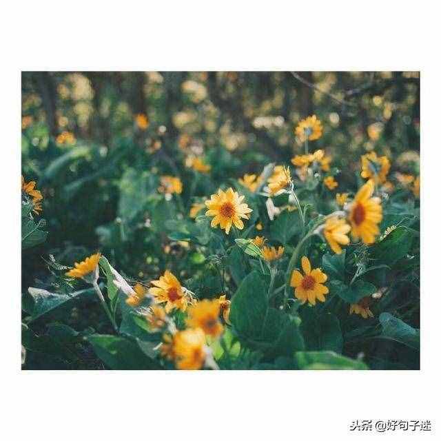簡單的元旦祝福語，句句溫馨，挑幾句發(fā)給朋友吧！