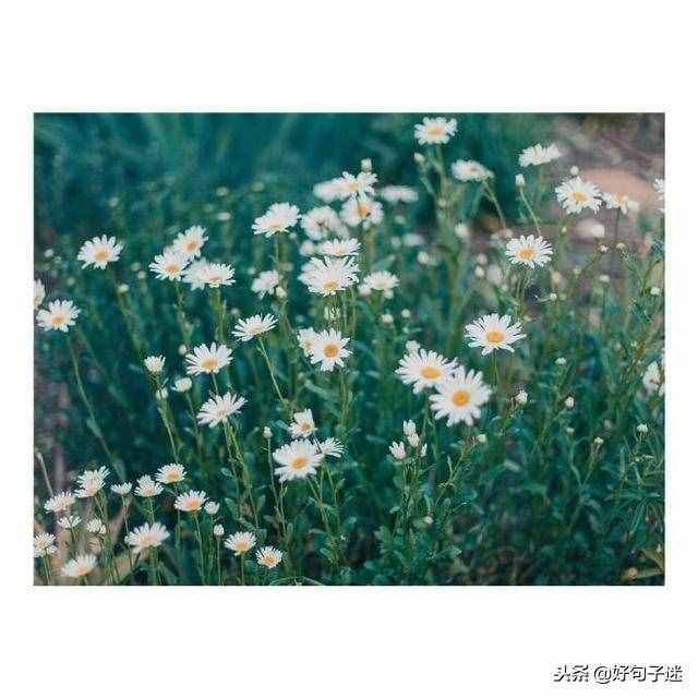 簡單的元旦祝福語，句句溫馨，挑幾句發(fā)給朋友吧！