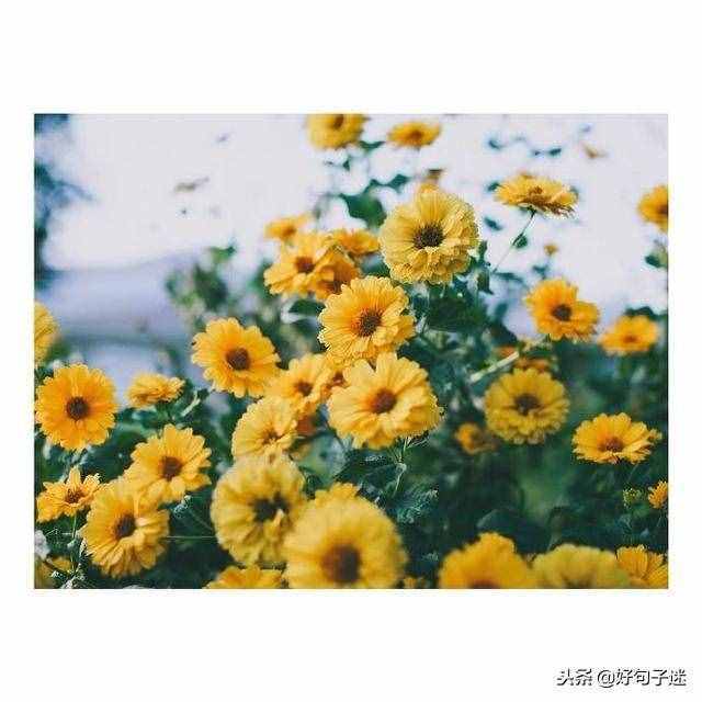 簡單的元旦祝福語，句句溫馨，挑幾句發(fā)給朋友吧！