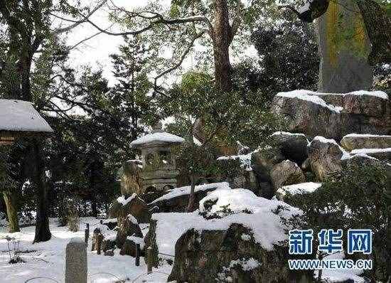 立冬是什么意思內涵介紹 立冬節(jié)氣的含義寓意是什么