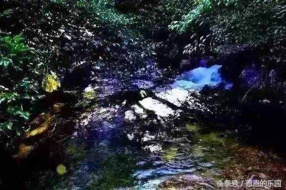 桂林旅游踏春好去處，顏值與性價(jià)比并存的景點(diǎn)攻略！