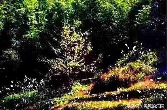 桂林旅游踏春好去處，顏值與性價(jià)比并存的景點(diǎn)攻略！