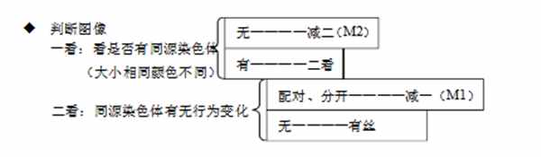高中生物必修二知識框架圖！全面的復習提綱！