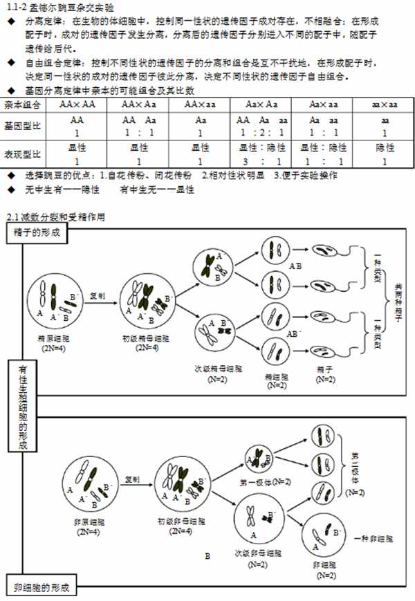 高中生物必修二知識框架圖！全面的復習提綱！