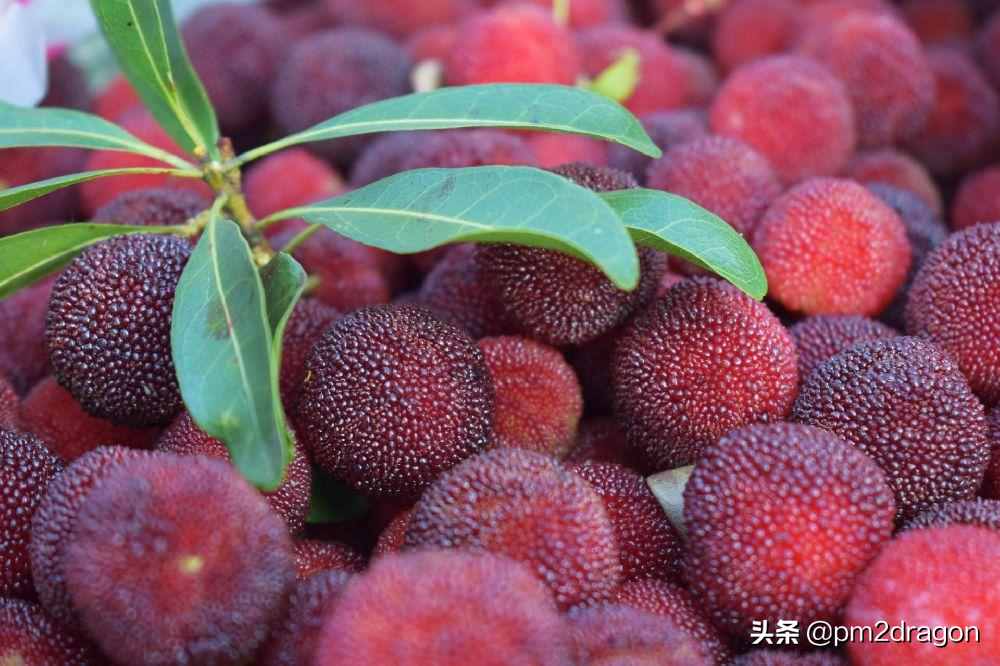 梅雨季到了該選擇哪類除濕機(jī)？松下除濕機(jī)對比告訴你答案