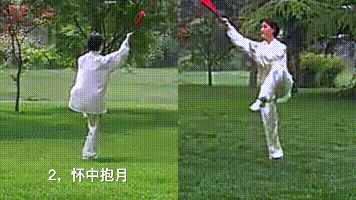 楊氏36式太極扇的動作動圖分解教學(xué)