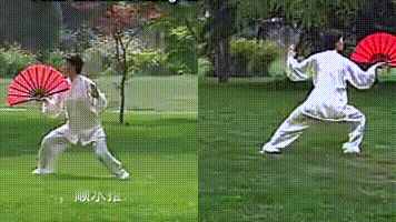 楊氏36式太極扇的動作動圖分解教學(xué)