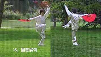 楊氏36式太極扇的動作動圖分解教學(xué)