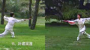 楊氏36式太極扇的動作動圖分解教學(xué)