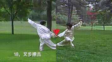 楊氏36式太極扇的動作動圖分解教學(xué)
