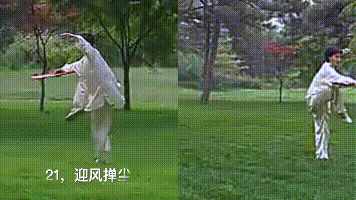 楊氏36式太極扇的動作動圖分解教學(xué)