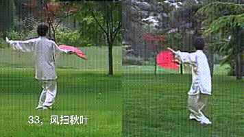 楊氏36式太極扇的動作動圖分解教學(xué)