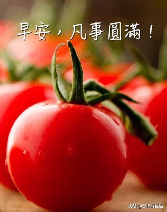 新的一天早晨好問(wèn)候祝福語(yǔ)錄大全，早上好暖心祝福短信大全