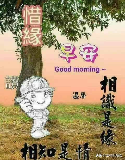 新的一天早晨好問(wèn)候祝福語(yǔ)錄大全，早上好暖心祝福短信大全