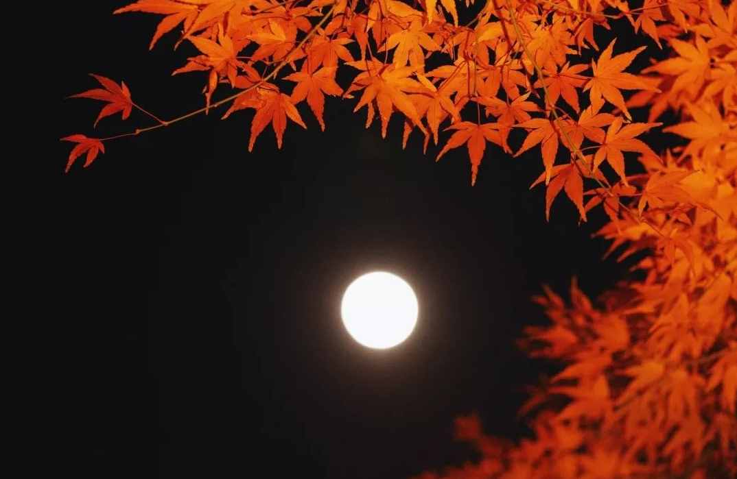 「詩(shī)詞鑒賞」十五首中秋的詩(shī)詞，好時(shí)節(jié) 愿得年年 常見(jiàn)中秋月