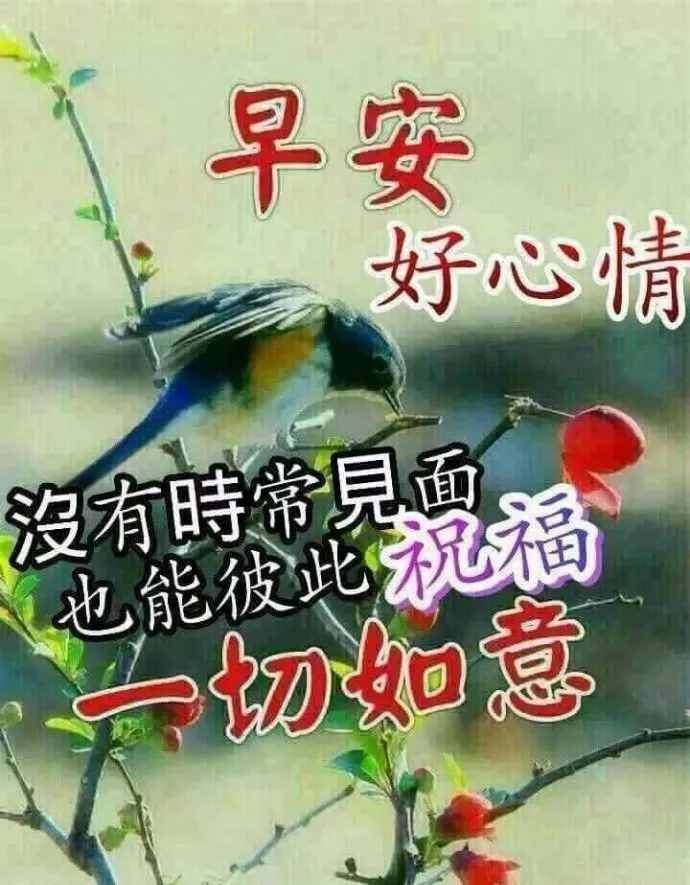 花是牡丹最美，人為朋友最親，交友不交金和銀，只交朋友一顆心